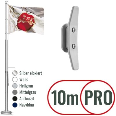 Fahnenmast Basic Pro 1000cm